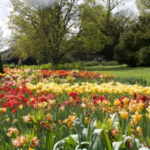 IMG_2935.webp