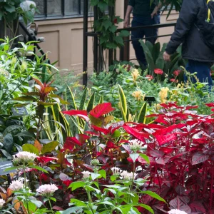 IMG_2982.webp