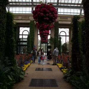IMG_3006.webp