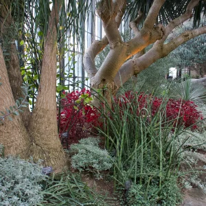 IMG_3036.webp