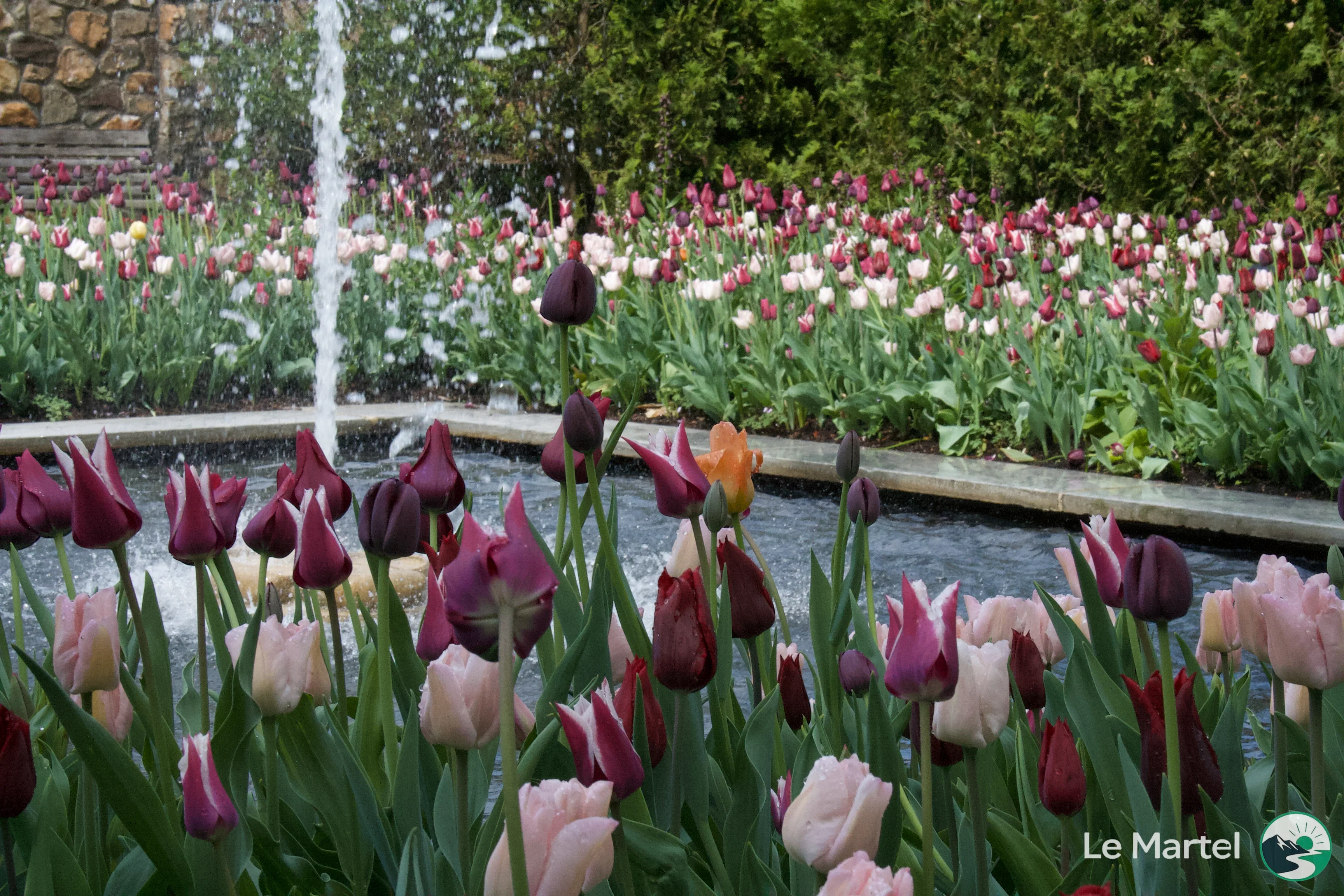 IMG_2903.webp