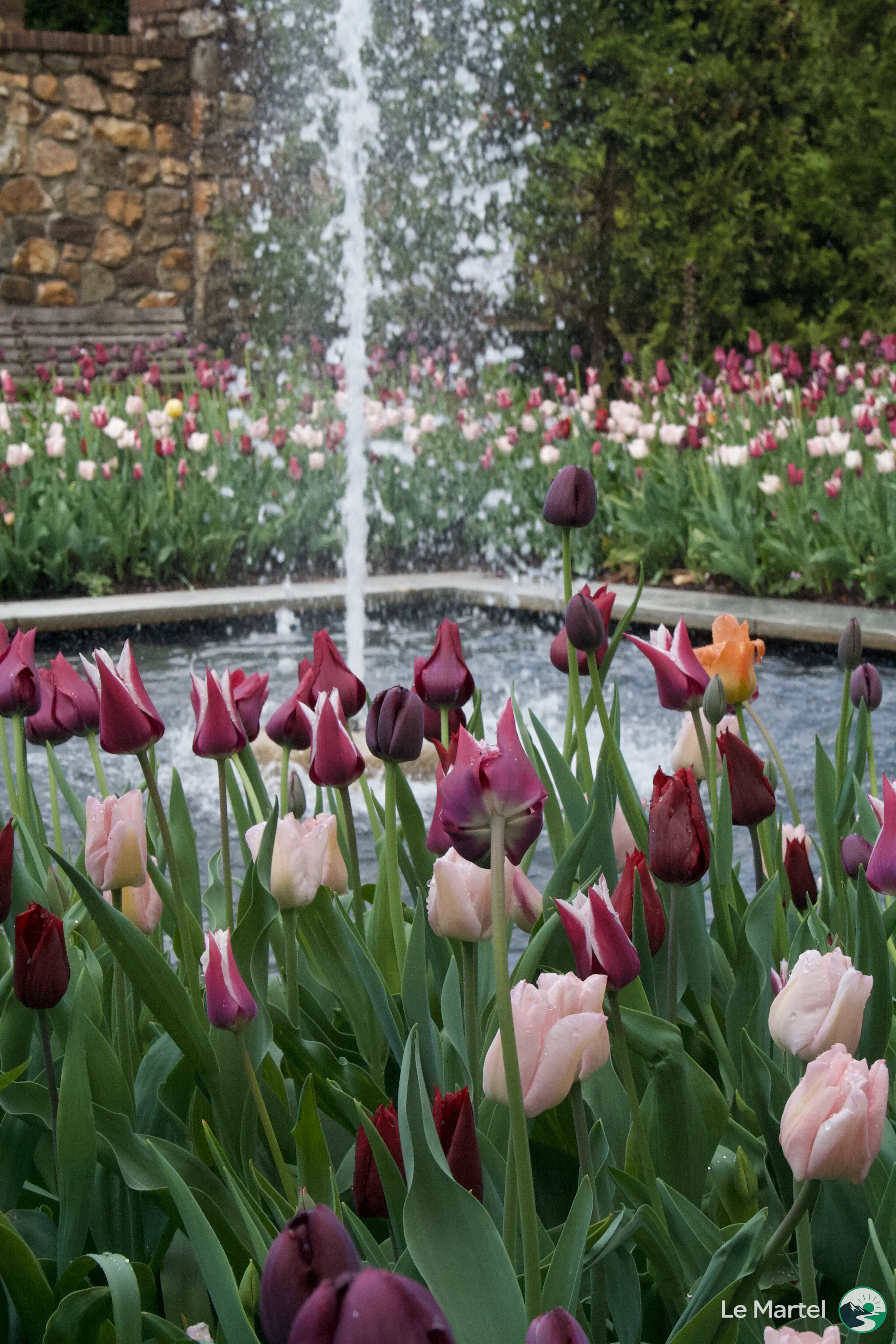 IMG_2904.webp