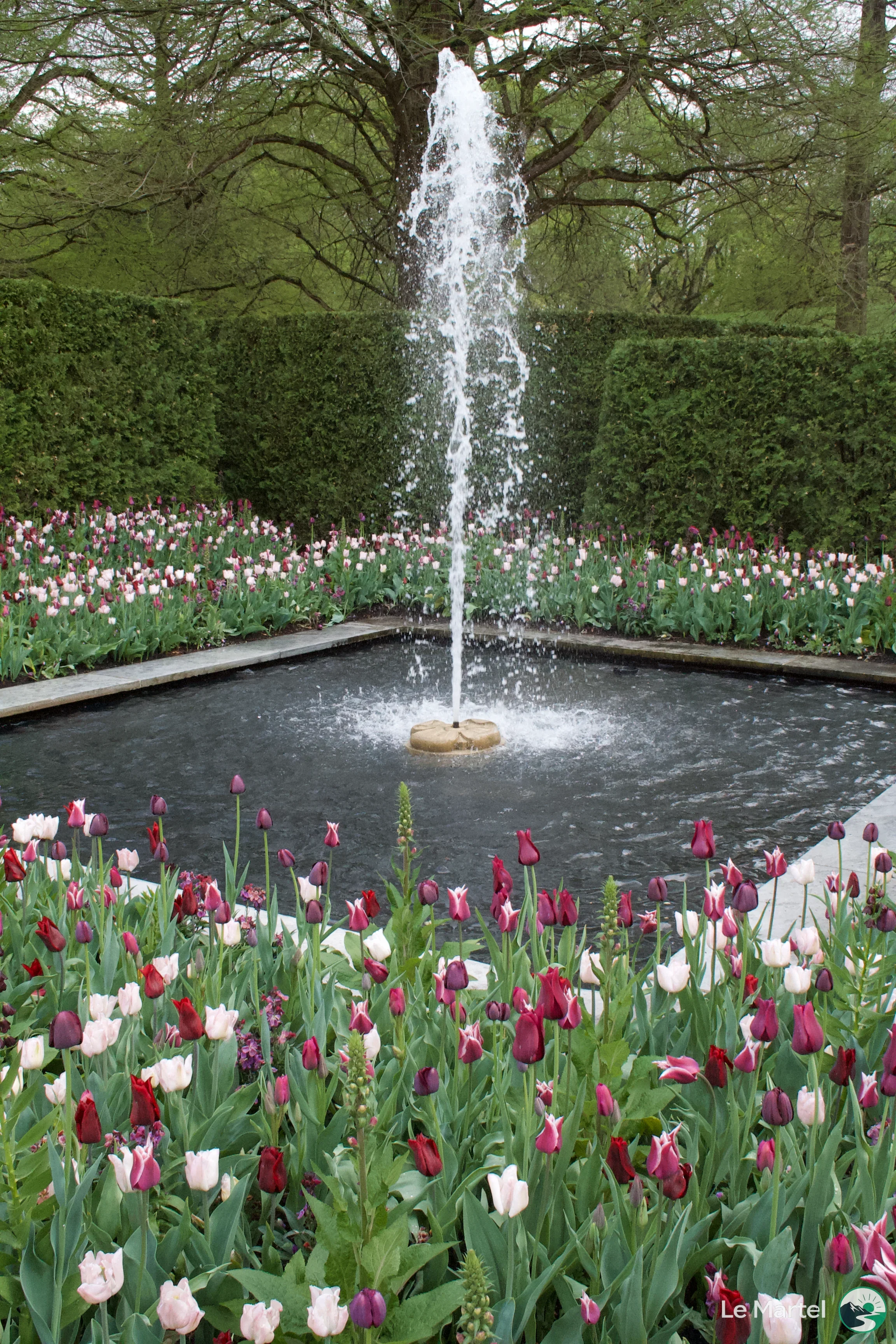 IMG_2905.webp