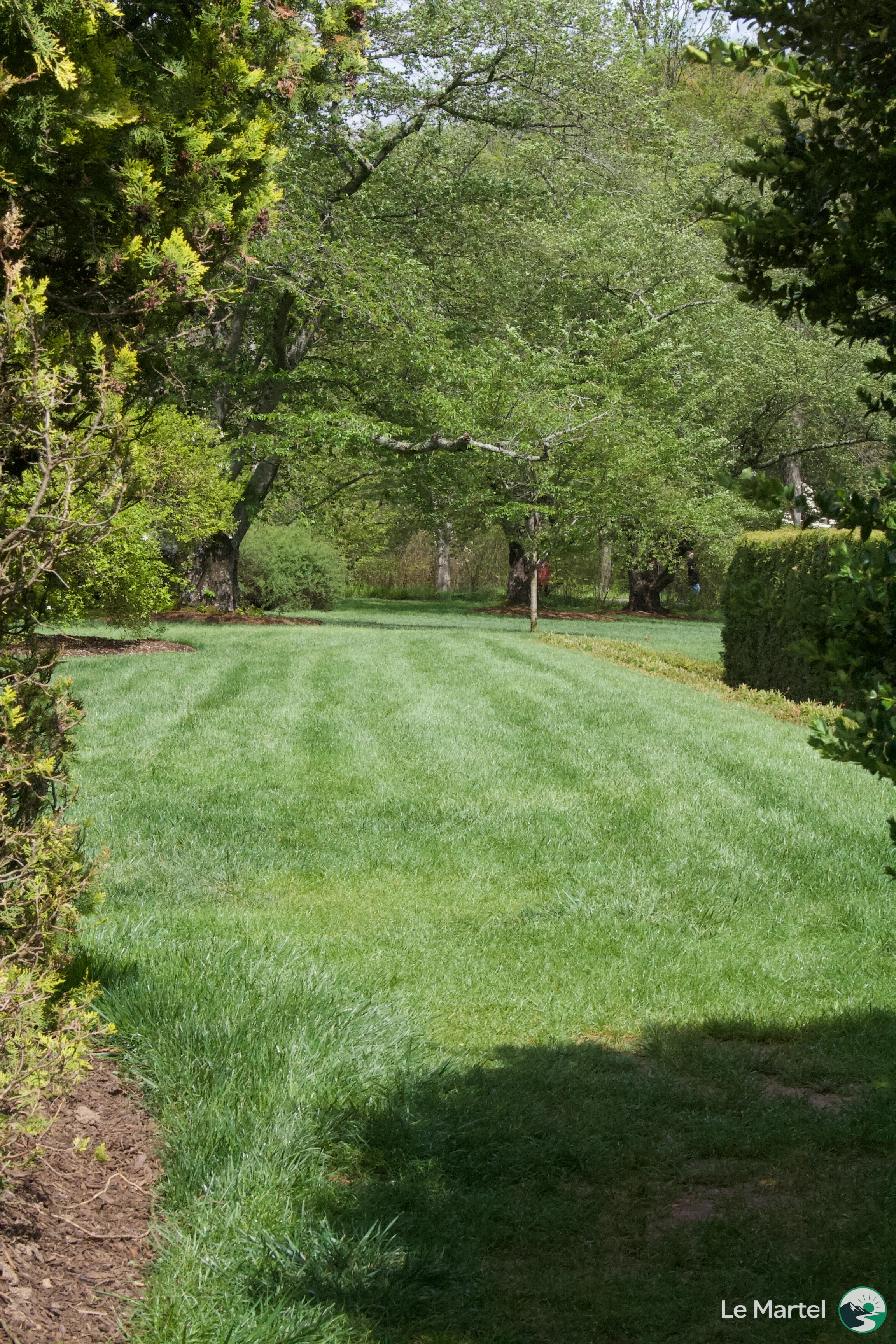 IMG_2911.webp