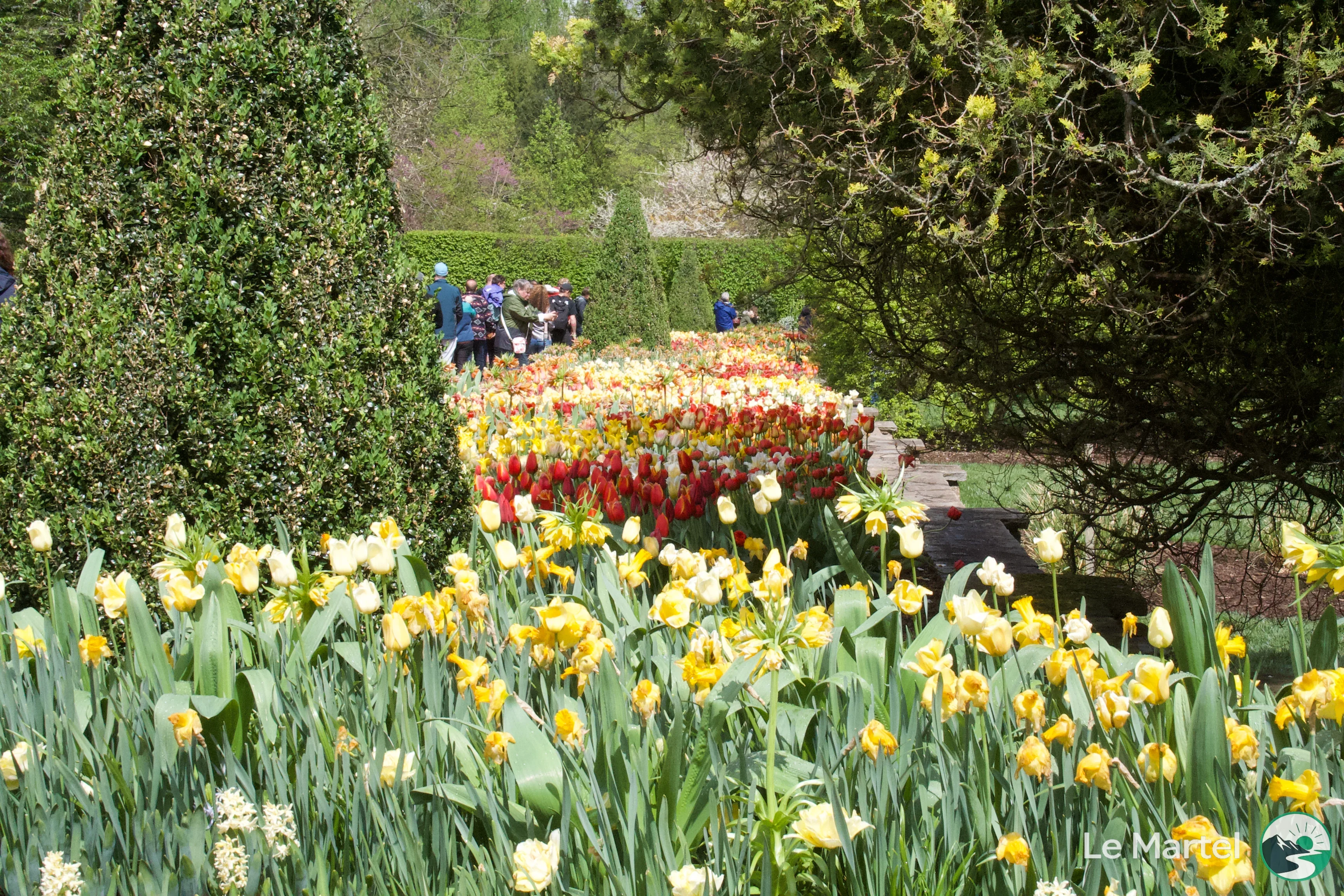 IMG_2913.webp