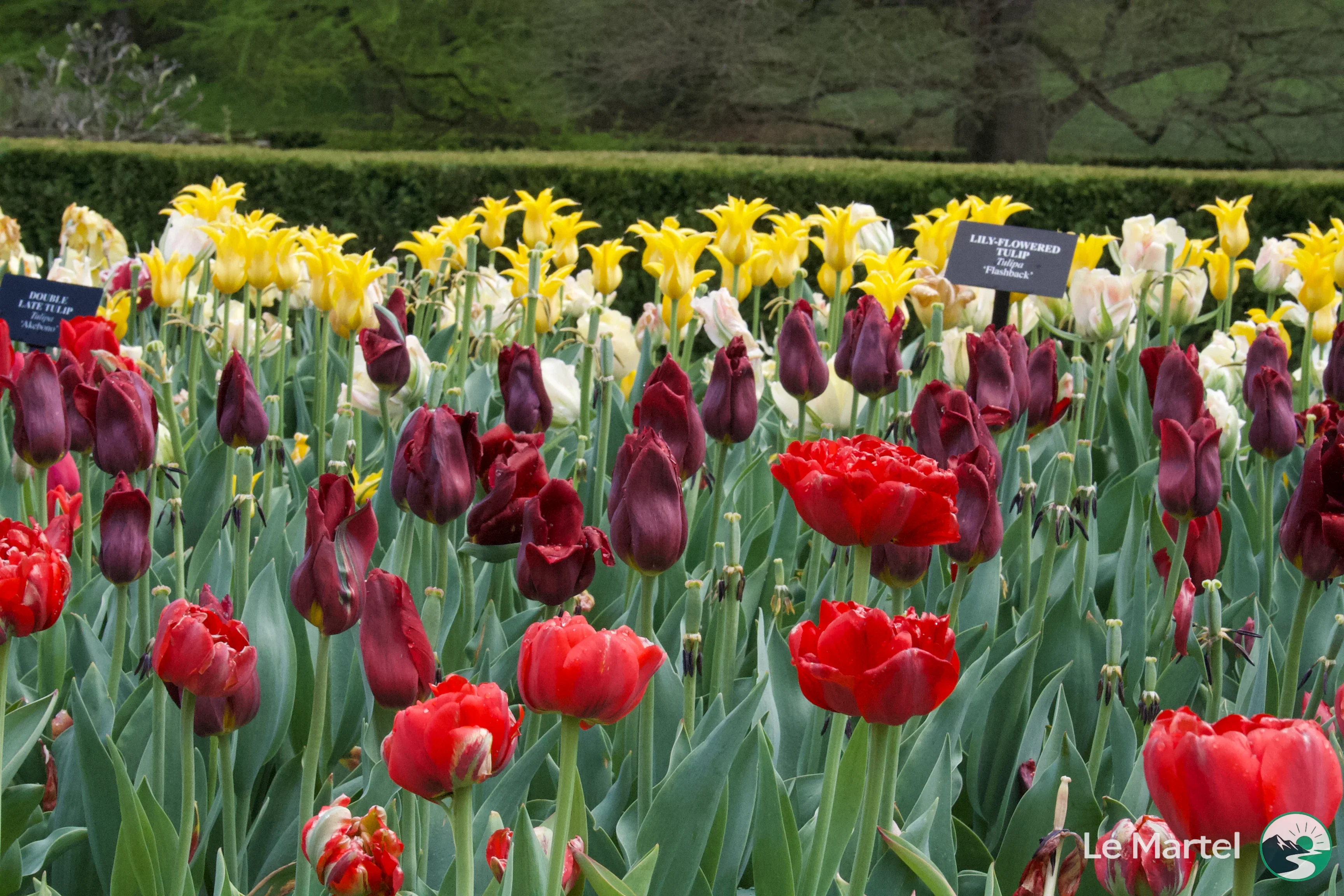 IMG_2918.webp