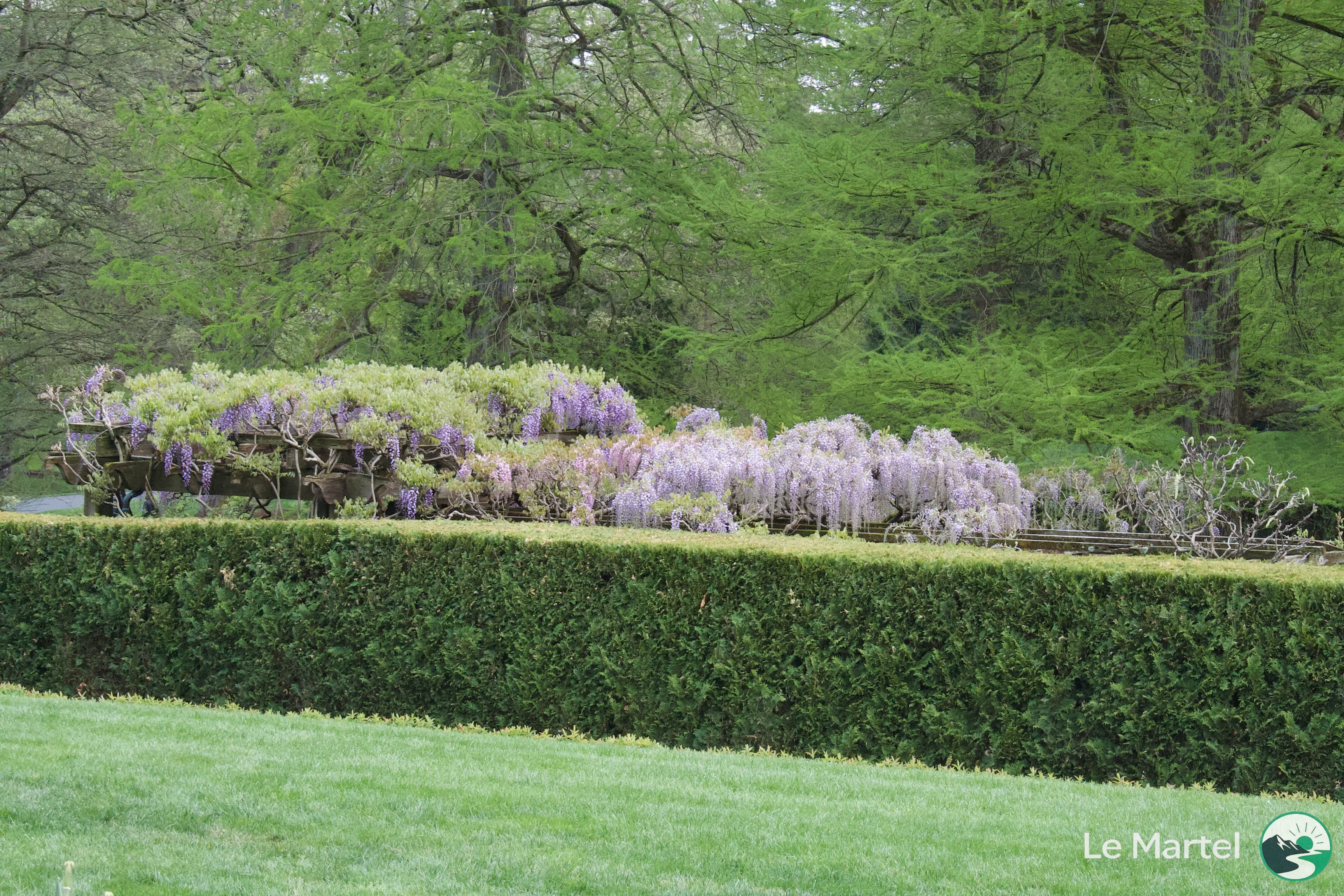 IMG_2920.webp