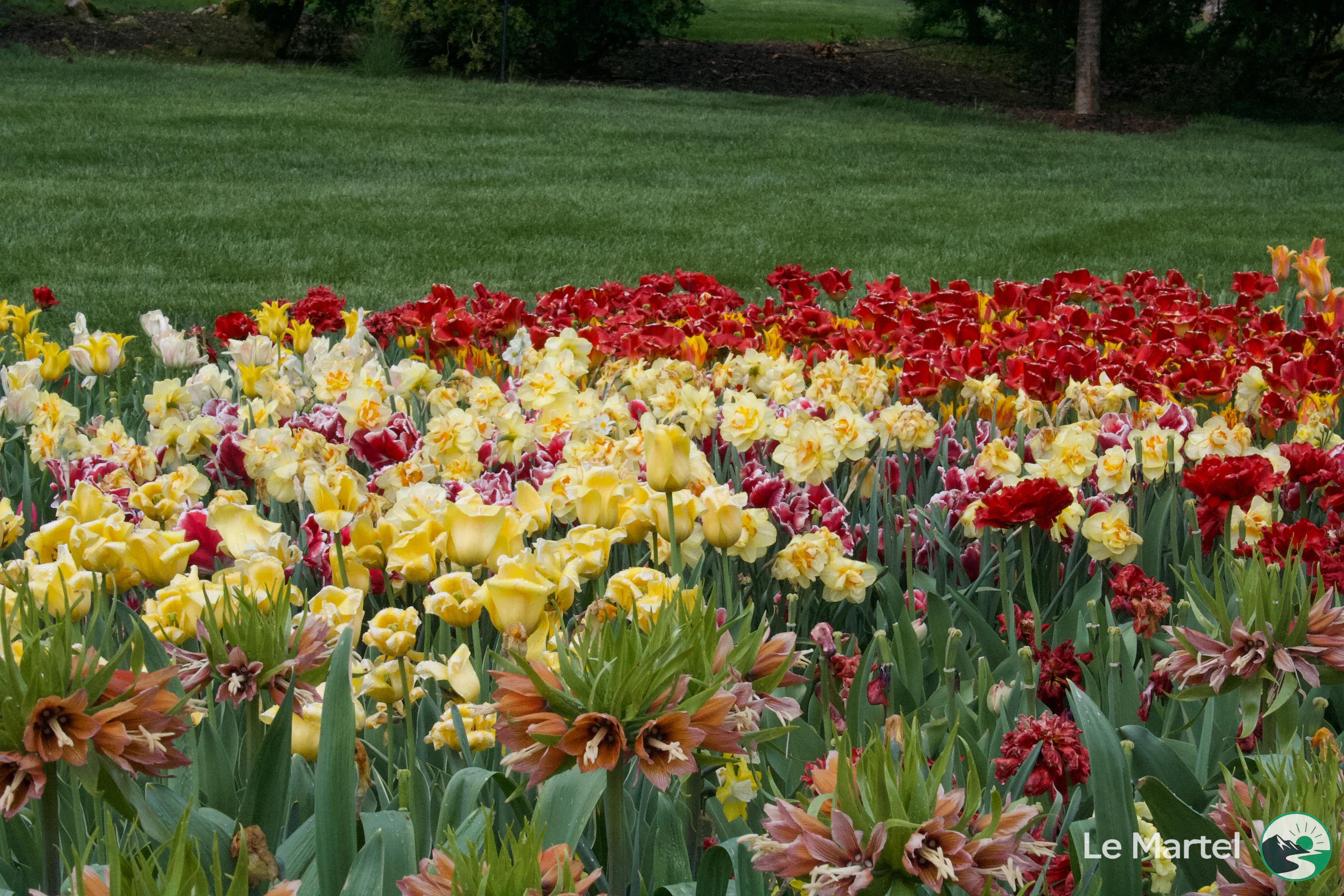 IMG_2921.webp