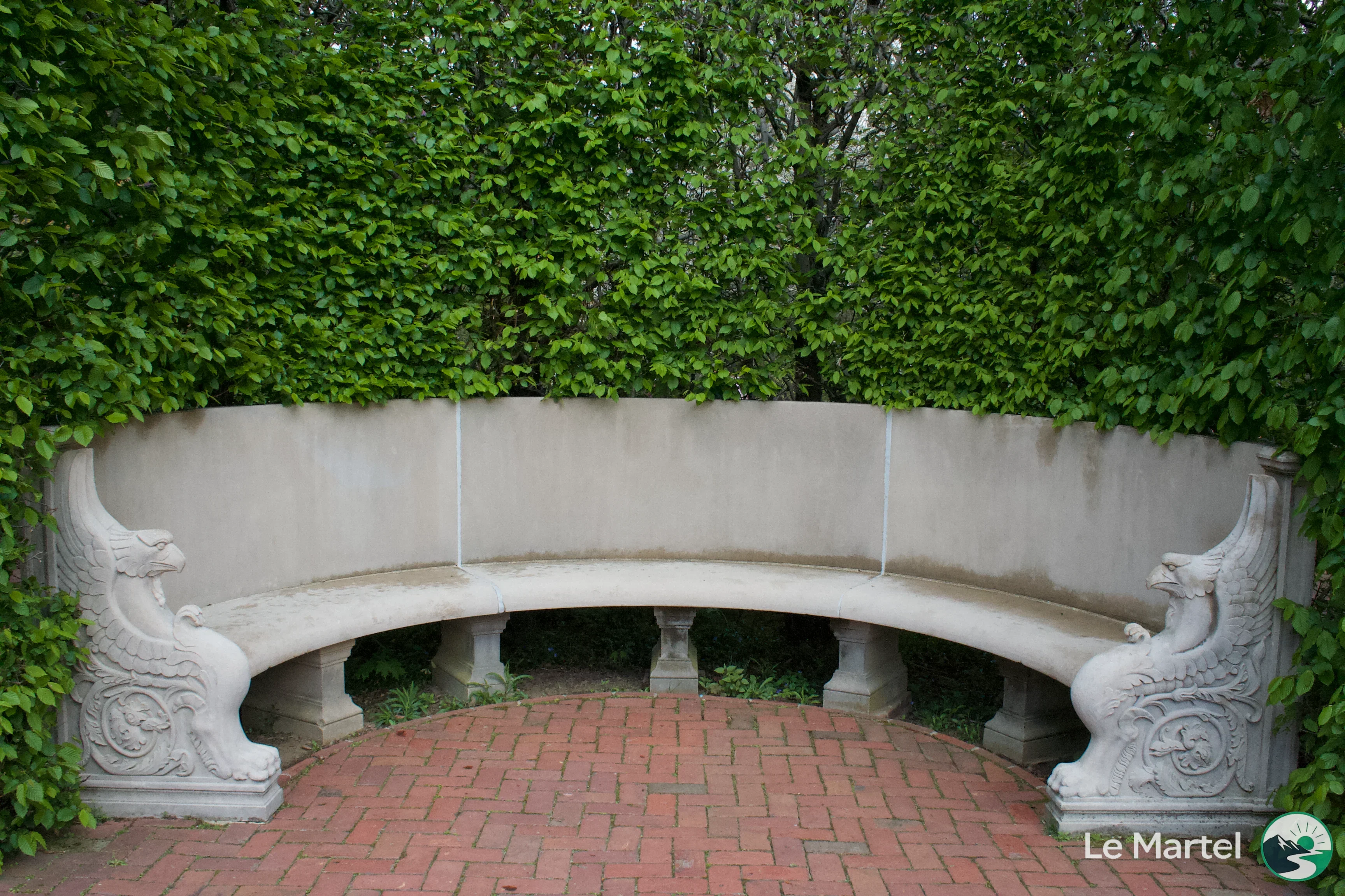 IMG_2931.webp