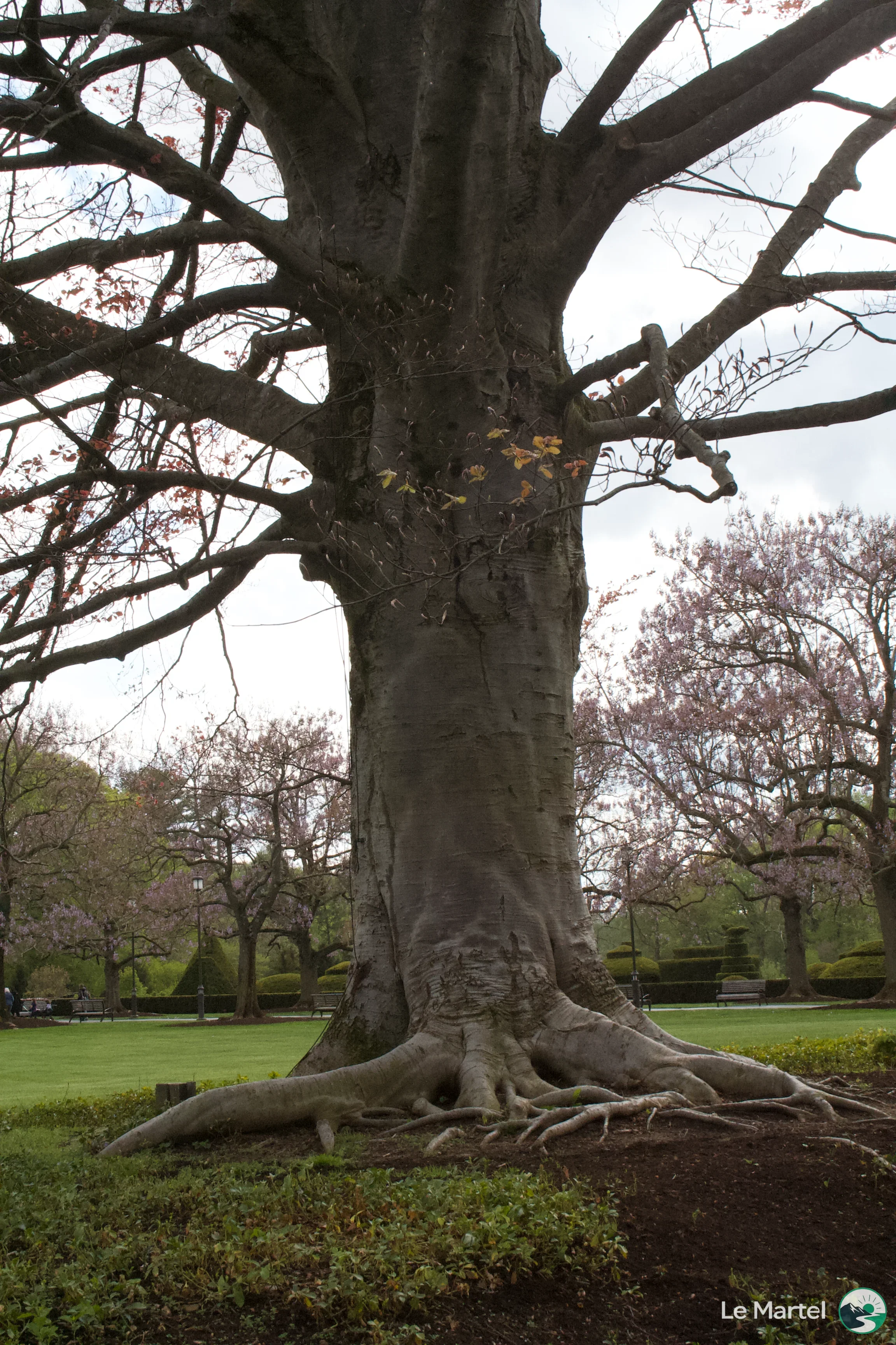 IMG_2961.webp